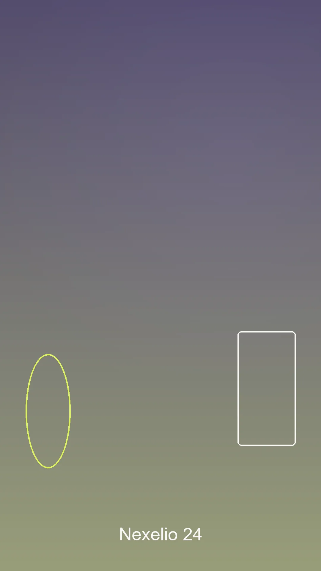 Project Preview