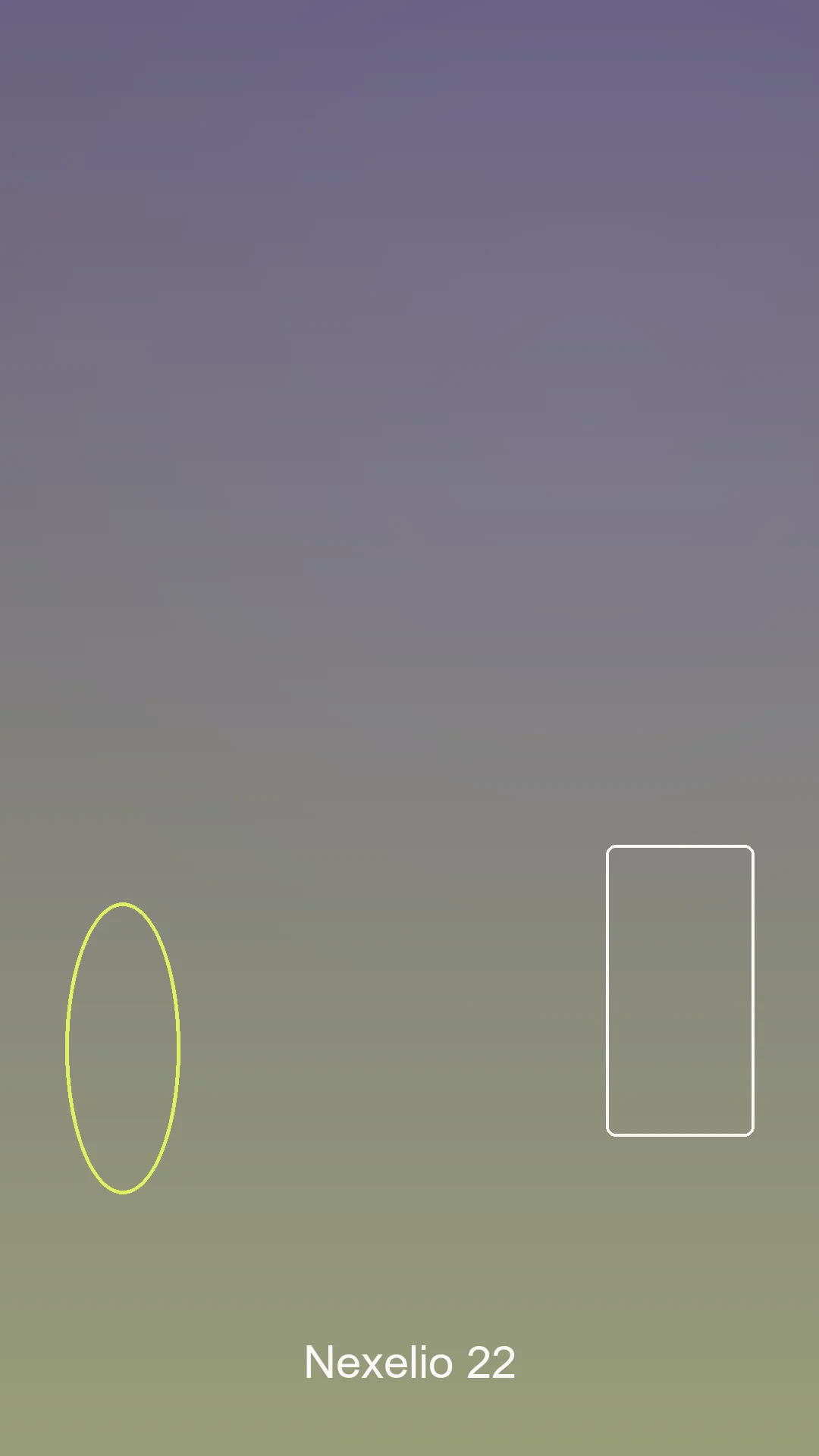 Project Preview